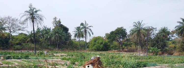 Agriculture